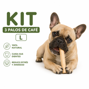 palos de cafe l kit