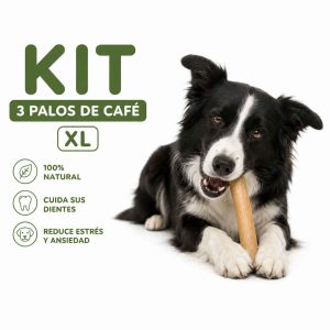 palos de cafe xl kit