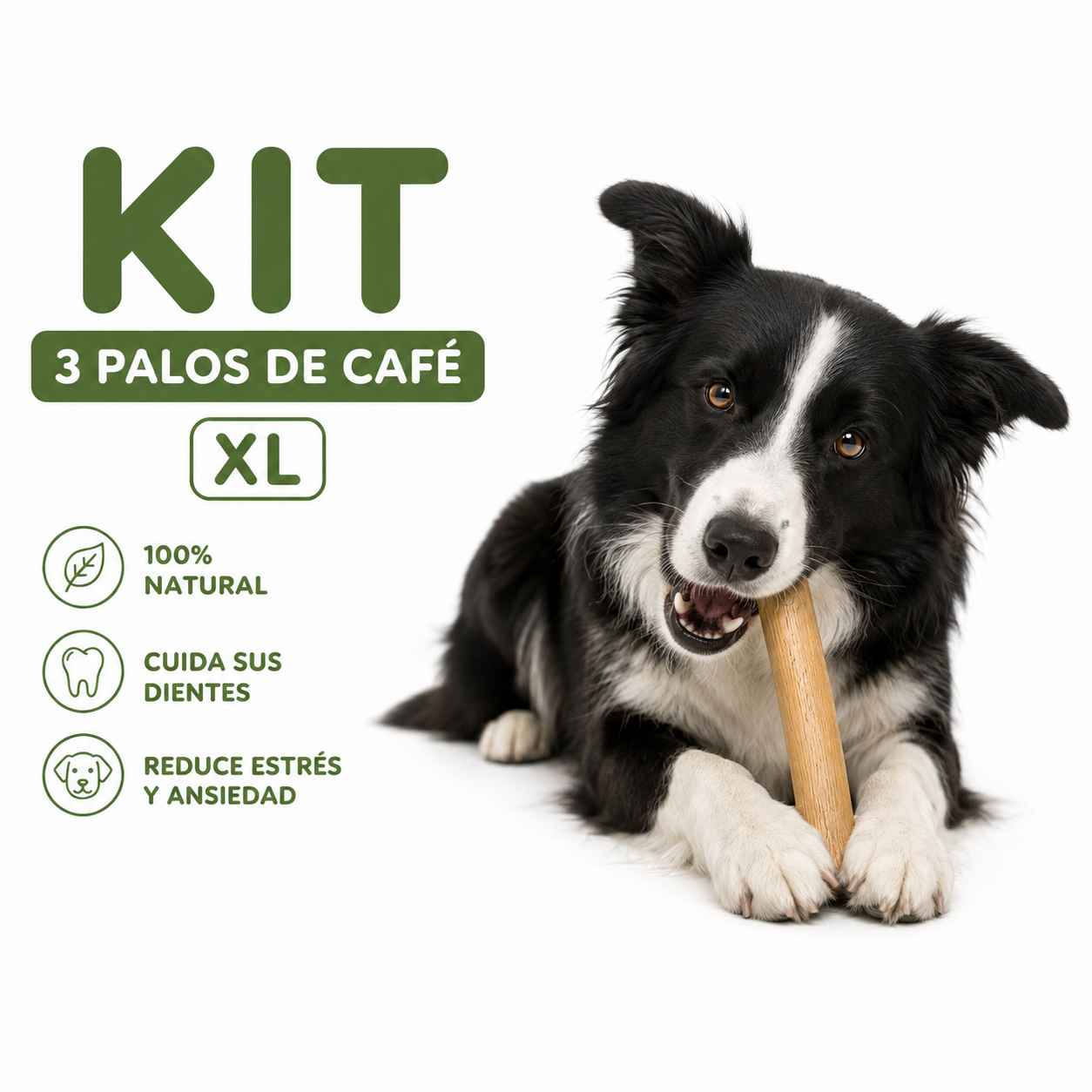 palos de cafe xl kit palos de cafe xl kit