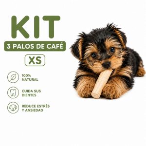 palos de cafe xs kit